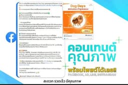 เขียน Caption + Storytelling สำหรับแบรนด์ (Value Content & Copywriting)