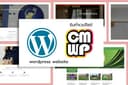 รับทำ website wordpress