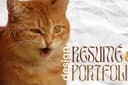 (ENG/TH) Resume น่าสนใจมีชัยไปกว่าครึ่ง! รับทำและออกแบบ Resume /CV /Portfolio ให้โดดเด่น