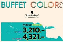 โปรโมชั่นทำสี