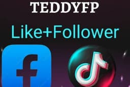 TeddyFP : เพิ่มยอดวิว (View) และผู้ติดตาม (Followers) Tiktok
