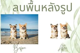 diecut ลบแบคกราวน์ ลบพื้นหลัง สินค้า คน สัตว์เลี้ยง ใส่พื้นหลังใหม่ รูปแรก ขายของออนไลน์