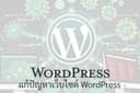 รับแก้ปัญหาเว็บไซต์ WordPress