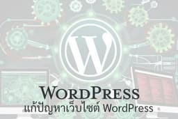 รับแก้ปัญหาเว็บไซต์ WordPress