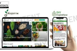 เว็บไซต์หน้าเดียว Landing Page พร้อมทำ SEO Content