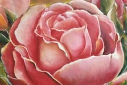 ภาพวาดเฟรมผ้าใบดิบและภาพวาดใส่กรอบรูป สำหรับตกแต่งบ้านและธุรกิจร้าน