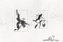 BW ลายสักดอกไม้
