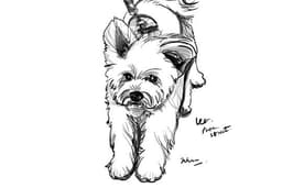 วาดภาพสไตล์ลายเส้นขาว-ดำ ลายเส้นสถาปัต