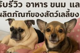 รับรีวิวขนม อาหาร สัตว์เลี้ยง 