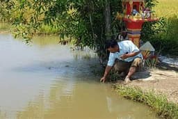 รับทำบุญ ปล่อยปลา ปลาช่อน ปลาไหล ปลาหมอ (ปล่อยในเขตปลอดภัย)