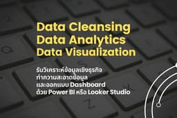 รับวิเคราะห์ข้อมูลเชิงธุรกิจ Data Analytic, Data Cleansing, Data Visualization, AI