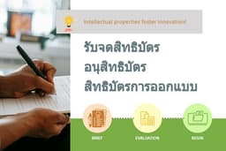 จดสิทธิบัตร/อนุสิทธิบัตร