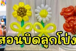สอนบิดลูกโป่งออนไลน์(ตลอดชีพ)