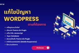 รับแก้ไขปัญหา ปรับแต่งเว็บไซต์ WordPress Theme/WordPress Plugin 