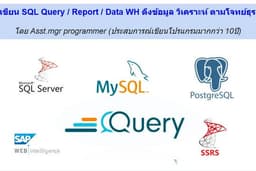 รับเขียน&แก้Bug Report SSRS / SQL Query/Script