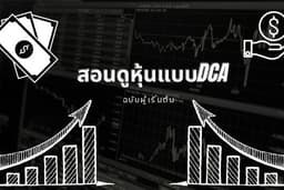 สอนดูหุ้นฉบับมือใหม่พึ่งเริ่ม และยังไม่รู้ต้องดูหรือทำอะไรบาง