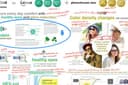 Brochure translation 