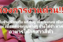 รับจ้างเขียนเว็บไซต์ API เพิ่ม feature และแก้บัค