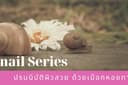 Snail Series