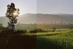 รับถ่ายภาพ, ภาพเล่าเรื่อง , ภาพถ่ายประกอบบทความหรือหนังสือ, Photograph