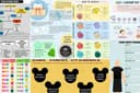 ออกแบบ Infographic ระดับมืออาชีพ สวย เข้าใจง่าย