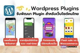 บริการพัฒนา Wordpress Plugin สำหรับเว็บไซต์คนไทย