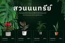 web design, Ui design