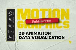 รับออกแบบ Motion Graphics / Data Visualization