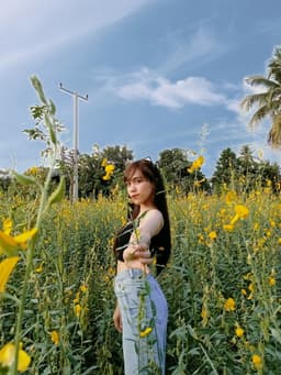 aomam6