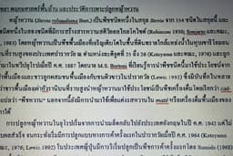 รับพิมพ์เอกสาร word ทั้งด่วนและไม่ด่วนค่ะ 