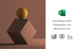 รับทำ Visualization สำหรับวิเคราะห์ข้อมูลในด้านต่างๆ ด้วย Microsoft Excel
