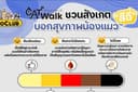 รับออกแบบภาพกราฟิกสำหรับใช้โปรโมทลงสื่อโซเชียล