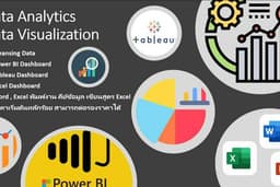 Data Analyst