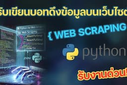 รับเขียนบอทดึงข้อมูลบนเว็บไซต์ (Web Scraping)ด้วย Python