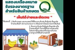 บริการออกแบบ banner 