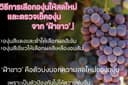 ออกแบบ/จัดวาง ภาพโฆษณาสื่อออนไลน์/Infographic อ่านสบายตา