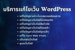 บริการแก้ไขปัญหาเว็บ WordPress