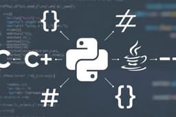 แก้โค้ดหลายภาษา เช่น Python, JavaScript, TypeScript Java, C, C++, C# HTML/CSS