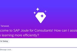 ให้คำปรึกษาเกี่ยวกับงาน SAP by joules consultant + exp of SAP consulant 15years+