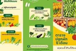 ตัวอย่างแผ่นพับประกอบโครงการ