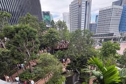 ไปสวนสาธารณะเป็นเพื่อน