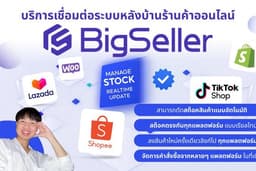 เชื่อมระบบร้าน Shopee Lazada Tiktok Website กับ bigseller ตัด Stock อัตโนมัติ ให้คำปรึกษา สอนการใช้