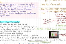 รับสรุปสไลด์เรียน/งาน