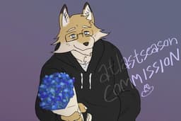 Draw your Character