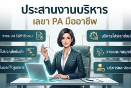 ประสานงานบริหาร เลขา PA