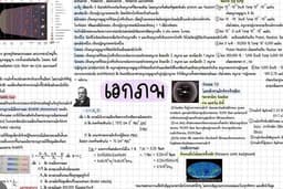 งานสรุป