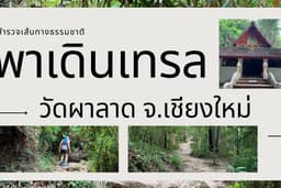 พาเดินเทรลวัดผาลาด จ.เชียงใหม่