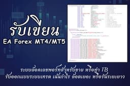 รับเขียน EA MT4 MT5