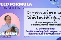 รับปรึกษาสูตรอาหารสัตว์เลี้ยง อาหารเสริมหมาแมว