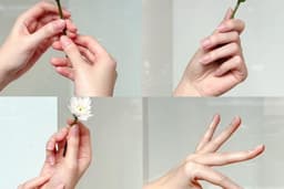 นางแบบมือ Hand Model